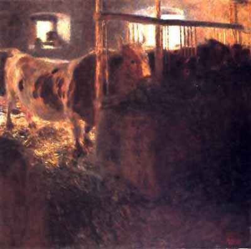 1899_cows in stall.jpg